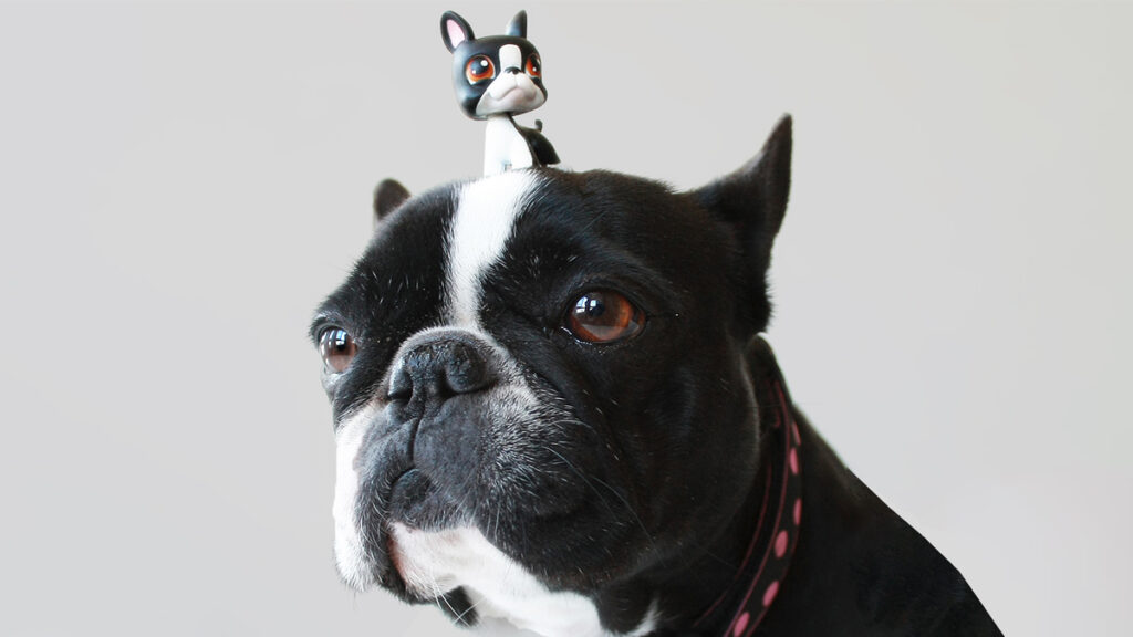 4 Programs to Invent the Appreciate of a More Extremely effective Colleague