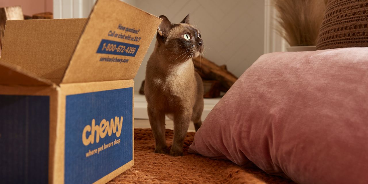 Earnings Look: Chewy says customers are turning into extra ‘discerning,’ nonetheless shares rally on surprise profit