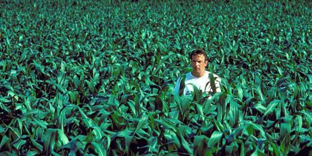 : ‘Is that this heaven?’ No, however it’s the finest insist to retire in.