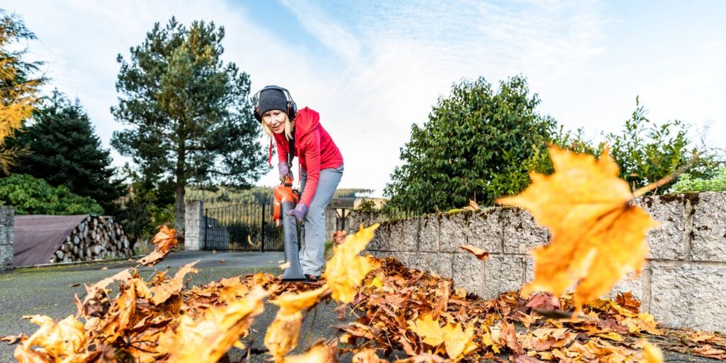 NerdWallet: Again your finances no longer off observe for the relaxation of the year with this 6-step drop money neat-up