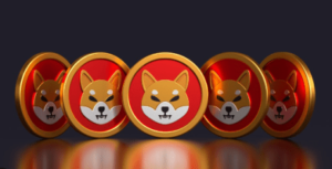 New SHIB-Basically essentially based Token On The Plan? Shiba Inu Crew Member Shares Essential Change