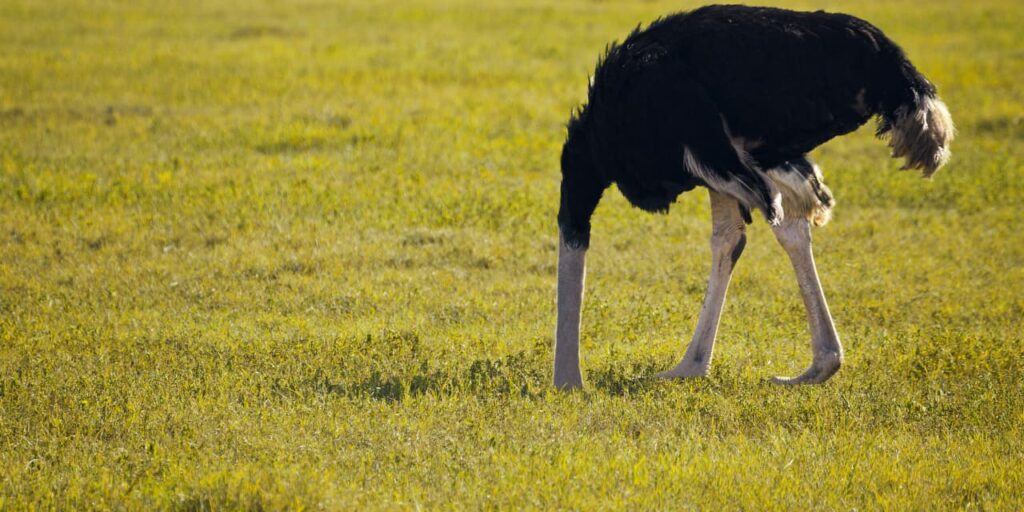 Retirement Weekly: Get your head out of the sand and form a retirement scheme