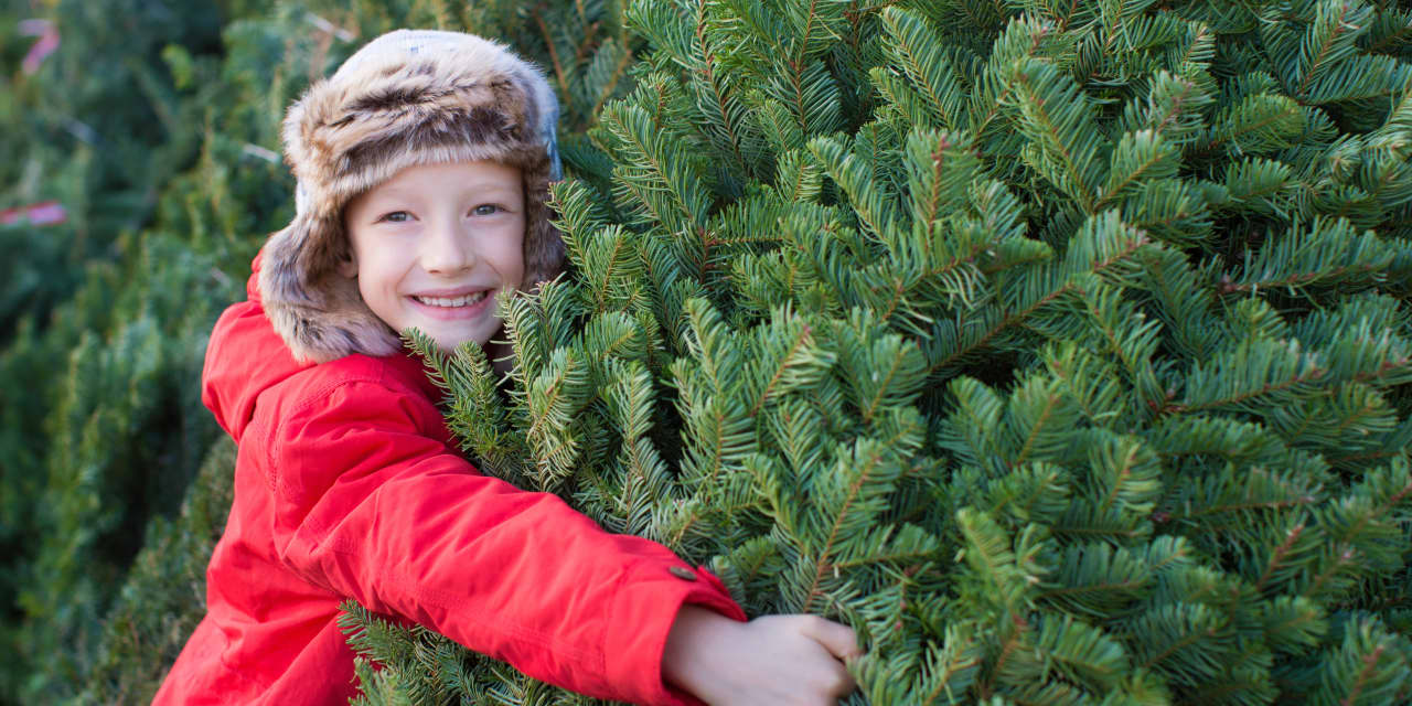 : 5 Christmas tree browsing tricks to keep some green