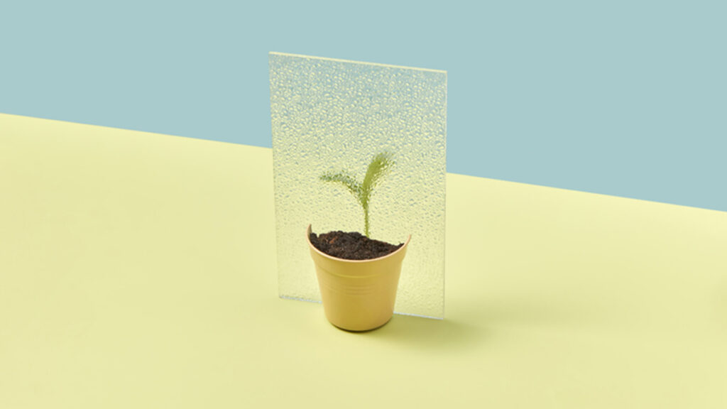 To Fabricate Have faith, Climate Alliances Have to Give a lift to Transparency