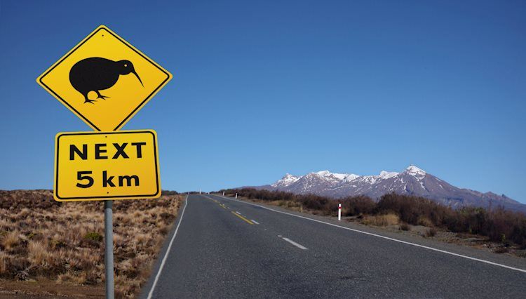 Unusual Zealand’s Industrial NZ PSI improves to 51.2 in November vs. forty eight.9 prior