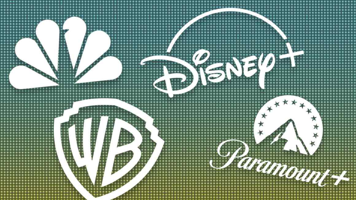 ‘Shakeout has begun’ after $5bn streaming loss for Netflix competitors