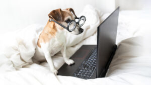 Your Favourite HBR Articles of 2023