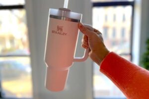 Stanley Cups Are Correct Wide Water Bottles. Younger Folks Need One Anyway.