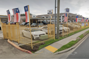 Video: Dogs Space off $350,000 of Anguish to Vehicles in Texas Dealership