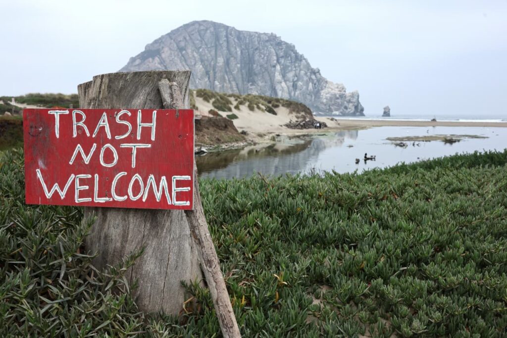 ‘Set the rational, promote the trash’ and be responsive to the 2 most important charts for 2024, says SocGen