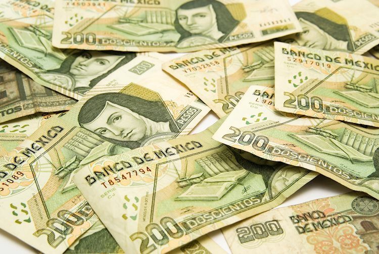 Mexican Peso soars in opposition to US Greenback as US inflation cools