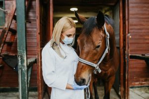 Meet the 55-year-passe veterinarian who walked a long way off from a 6-figure wage within the highest of her occupation because corporate possession drove her to the nonprofit world