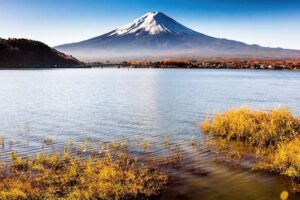 Japan Inflation: Tokyo User Label Index climbs 2.6% YoY in February vs. 1.8% prior