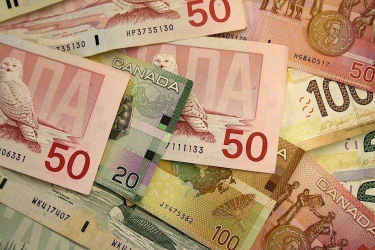 USD/CAD extends its upside above 1.3600 forward of BoC rate decision
