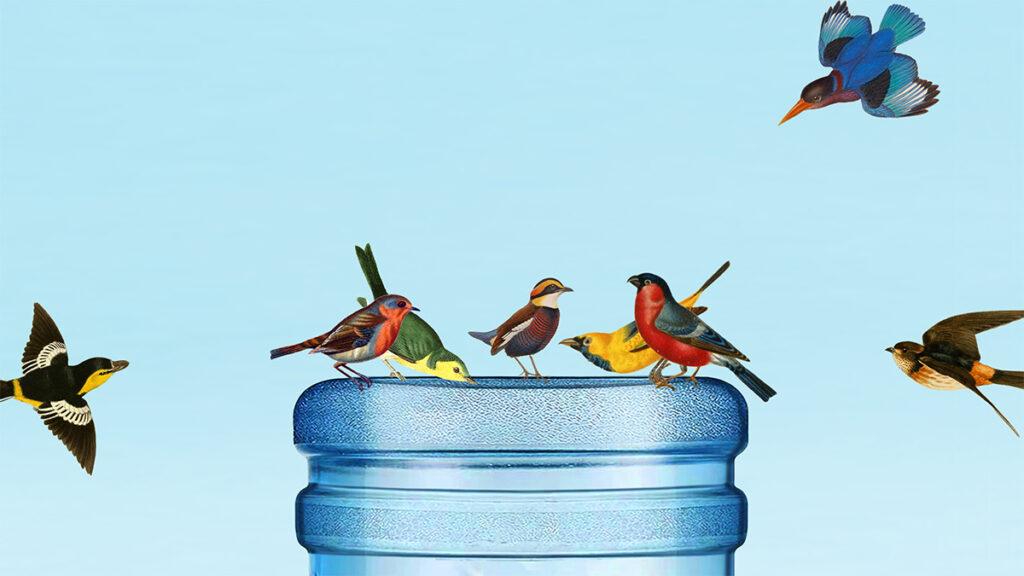 Don’t Underestimate the Vitality of Shrimp Breaks In some unspecified time in the future of a Busy Workday