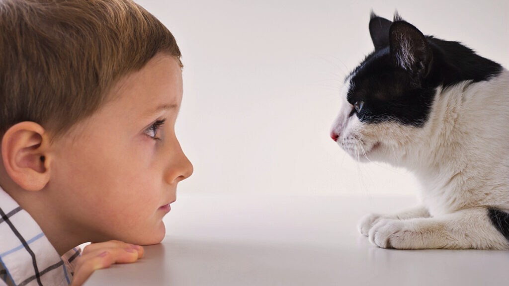 Easy be taught how to Change into a Extra Empathetic Listener