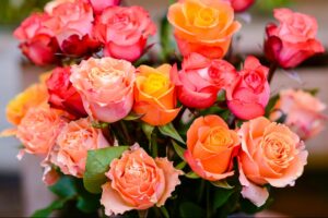 Demonstrate Mother You Like Her with Two Dozen Roses for $25