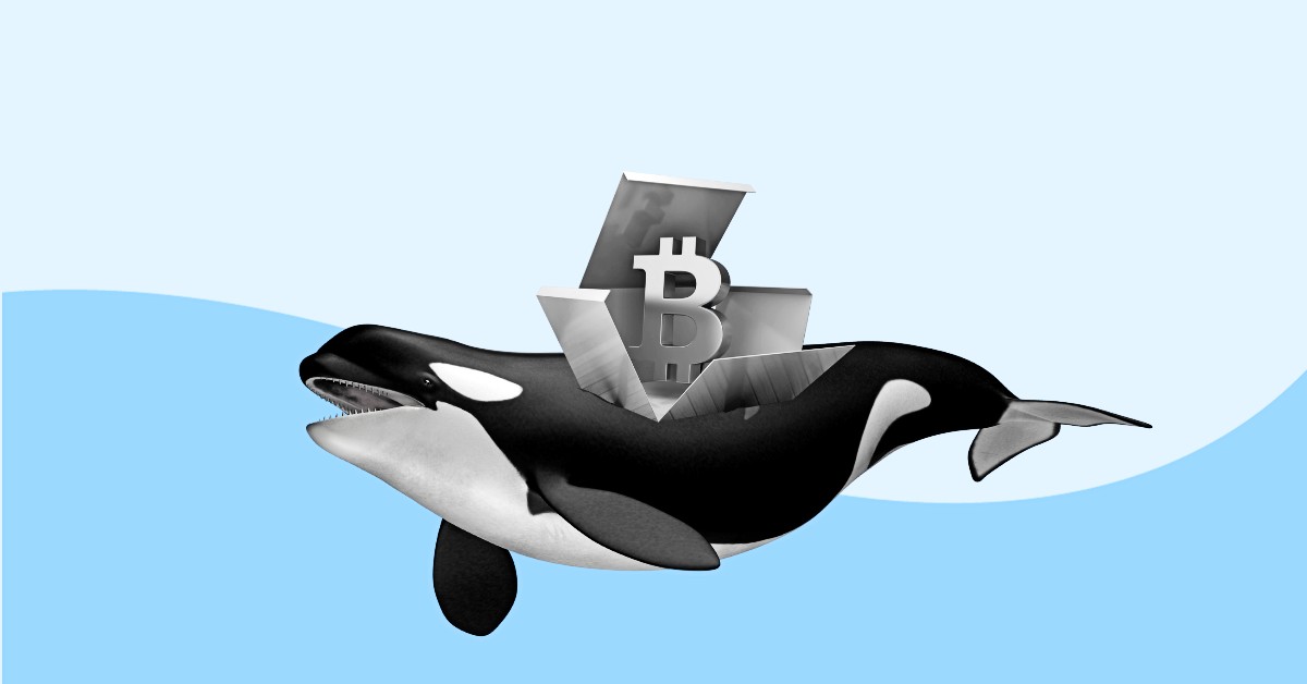 Whales Bounce in to Discover Bitcoin; Will BTC Tag Develop It to $65,000 This Week?