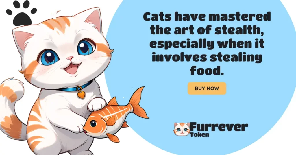 Solana and Shiba Inu Rebound as Furrever Token Attracts in Investors with $20,000 Competition