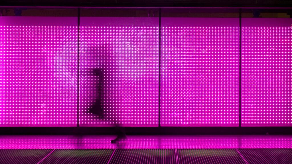 AI Will Magnify the Quantity — and Quality — of Phishing Scams