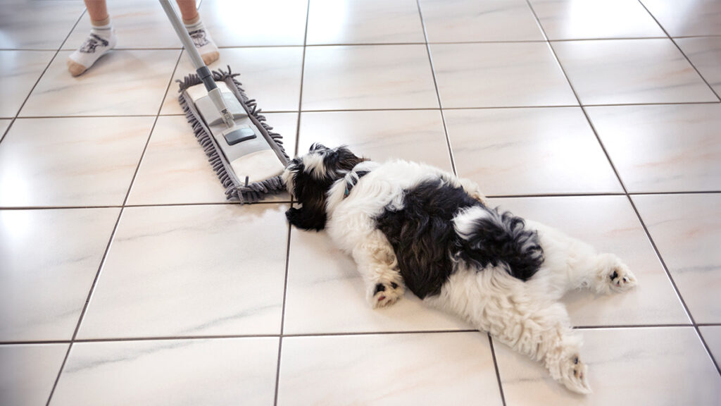 Research: Why We Settle the No longer easy Manner to Carry out Gradual Initiatives