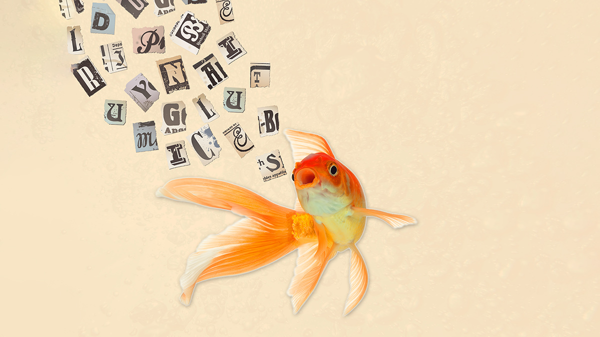 When a Crew Member Speaks Up — and It Doesn’t Wander Neatly