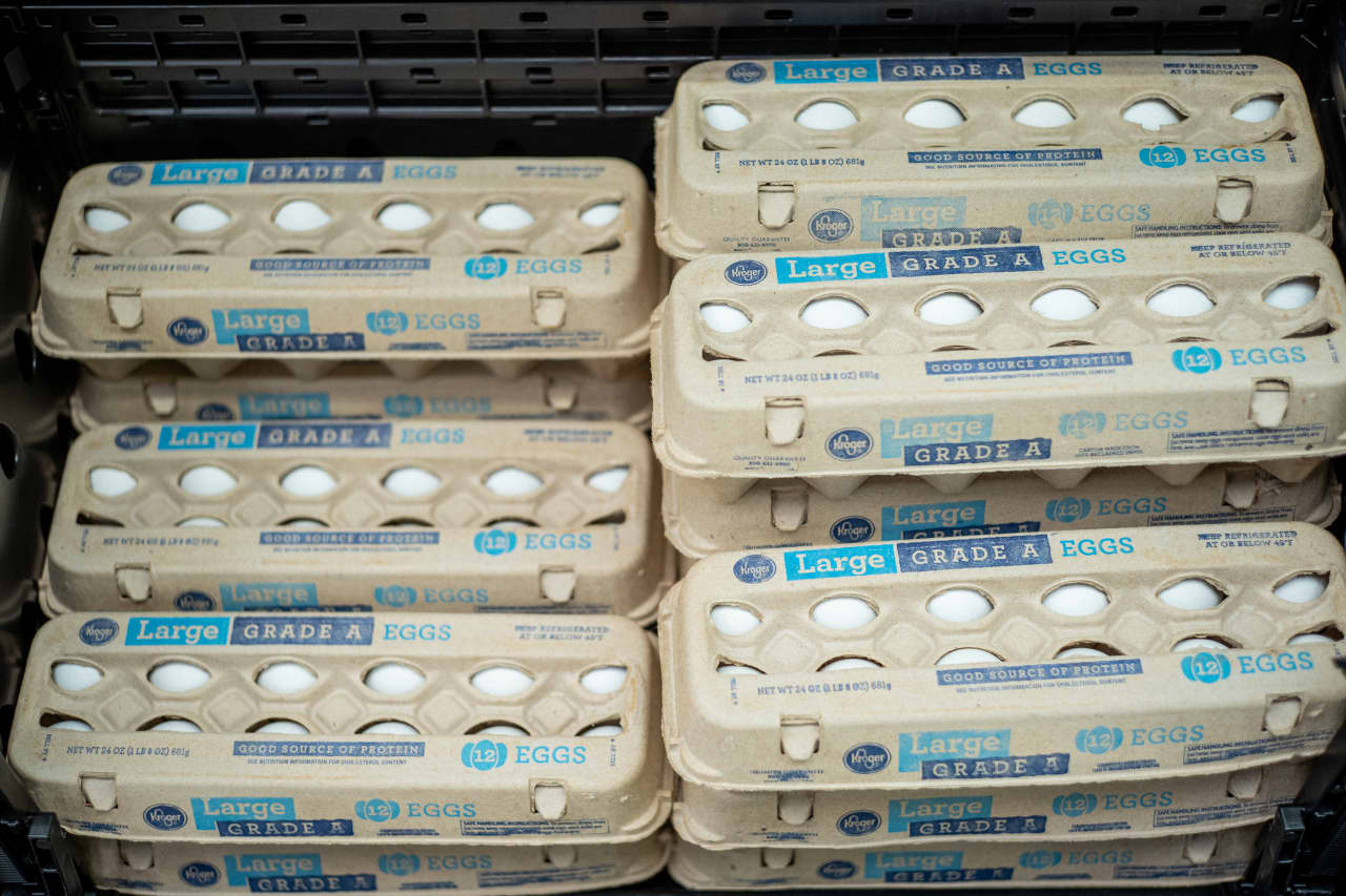 Egg prices enhance Cal-Maine’s sales more than 70% better