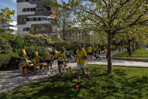 Leaders And Planners Told To Manufacture Nicely being-Centred Cities In Contemporary See