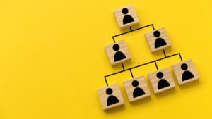 The build raise out martech practitioners sit in organizations?