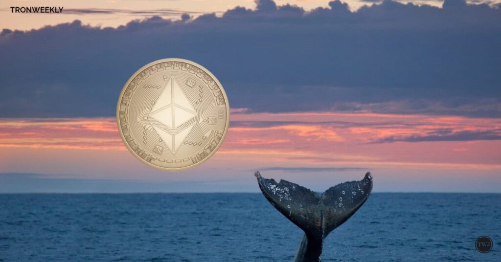 Ethereum Whale Nets Great Gains from $19M $AERO, $PEPE and $FTM Purchases