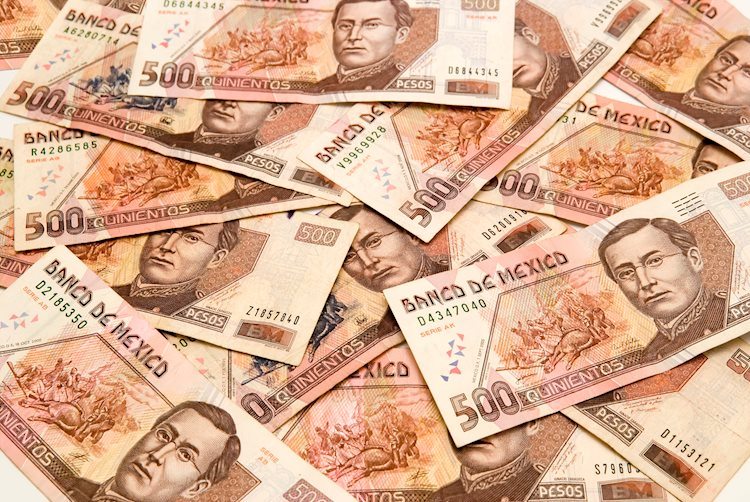 Mexican Peso dives as Banxico indicators aggressive easing