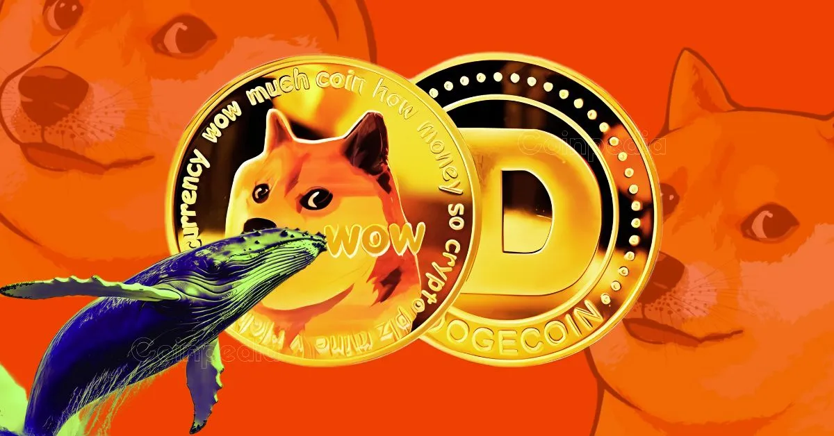 Dogecoin (DOGE) Poised for Wide Rally? Bullish Sample Seen 