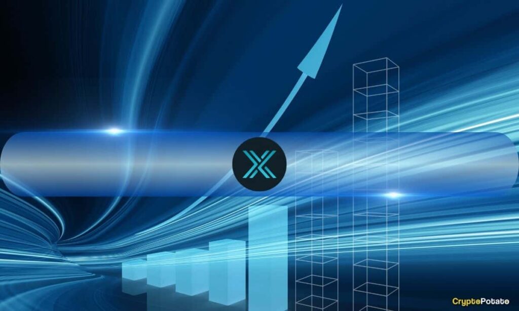 Immutable X and zkEVM NFT Gross sales Surge 55% in Q4 2024, But Market Participation Declines