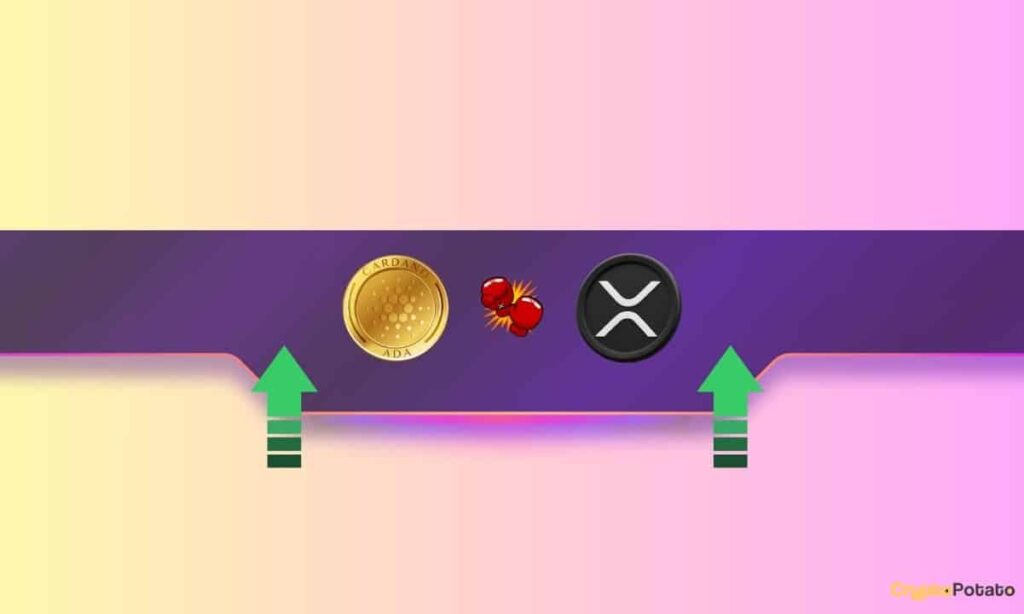 Lawful News for Ripple (XRP) and Cardano (ADA) Investors: Little print