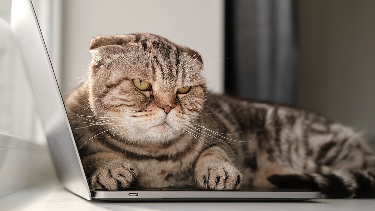 In a Lag at Work? Here’s The staunch blueprint to Inspire Your self.