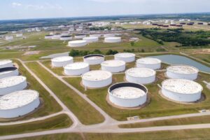Aegis Vopak Terminals IPO opens Monday: Whereas you subscribe or skip?