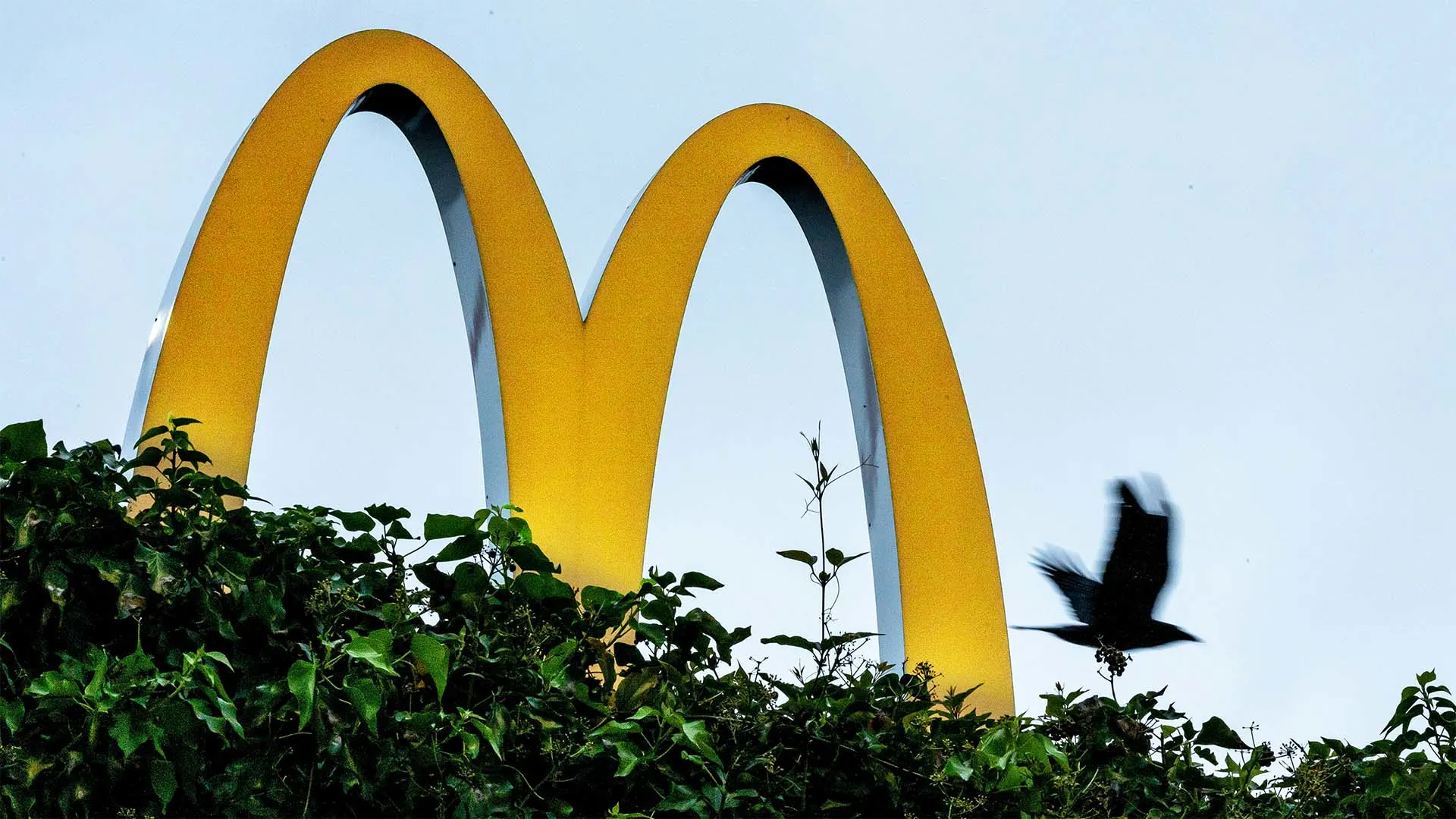 McDonald’s Most contemporary Menu Originate Is a Master Class in Empathy-Driven Innovation