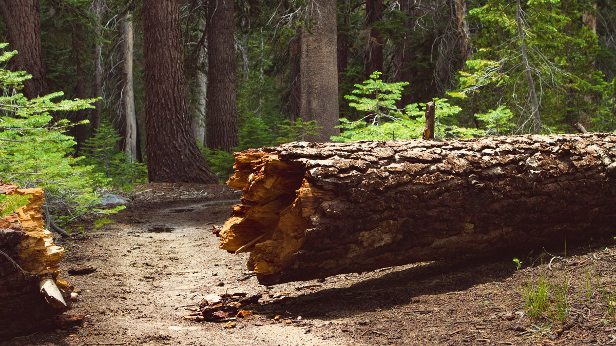 Main After Your Predecessor Fails