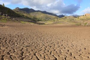 Central banks suggested to build up for local weather shock to labour market
