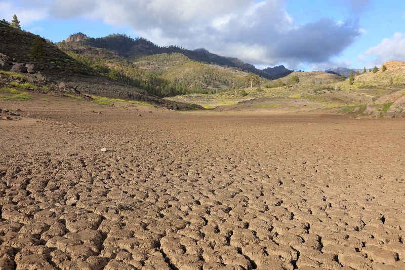 Central banks suggested to build up for local weather shock to labour market