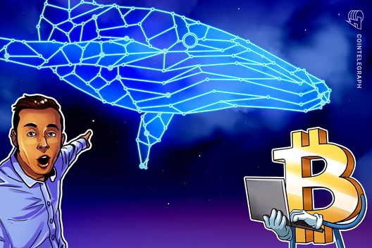 Bitcoin whales are starting up to uncover again at $71K: Santiment