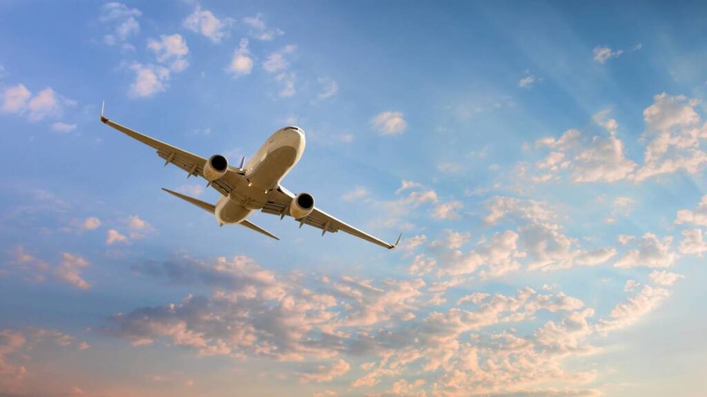 One other airline loses license, all flights off