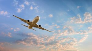 One other airline loses license, all flights off