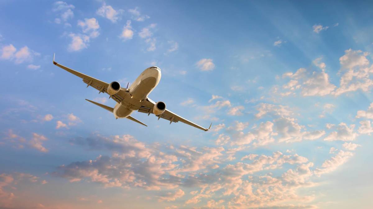 One other airline loses license, all flights off