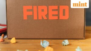 ‘Diminished to spreadsheet entries’: Viral Reddit post on unexpected layoff sparks debate on place of job loyalty