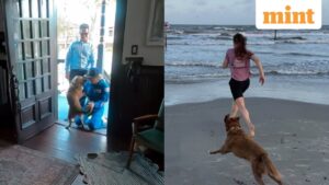 Observe: Artemis II astronaut Christina Koch shares emotional video of reuniting with dog Sadie