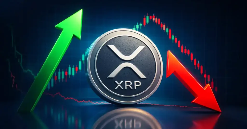 Ripple Knowledge: XRP Whale Wallets Hit Document Excessive as ETF Holdings Climb to $1.44 Billion