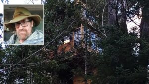 Aspen Treehouse Dweller Faces County Lawsuit Over His Nontraditional Home