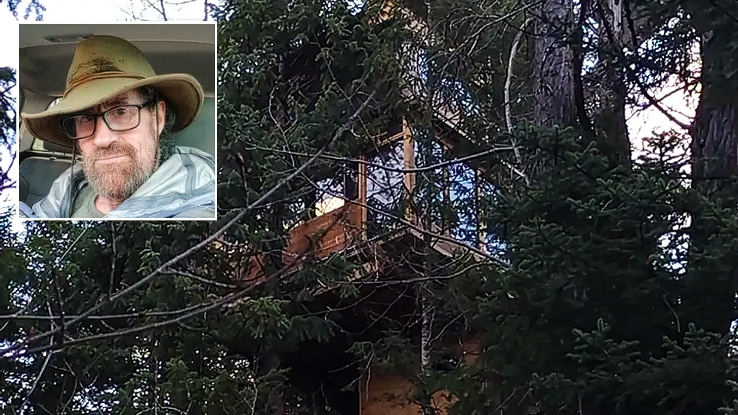 Aspen Treehouse Dweller Faces County Lawsuit Over His Nontraditional Home