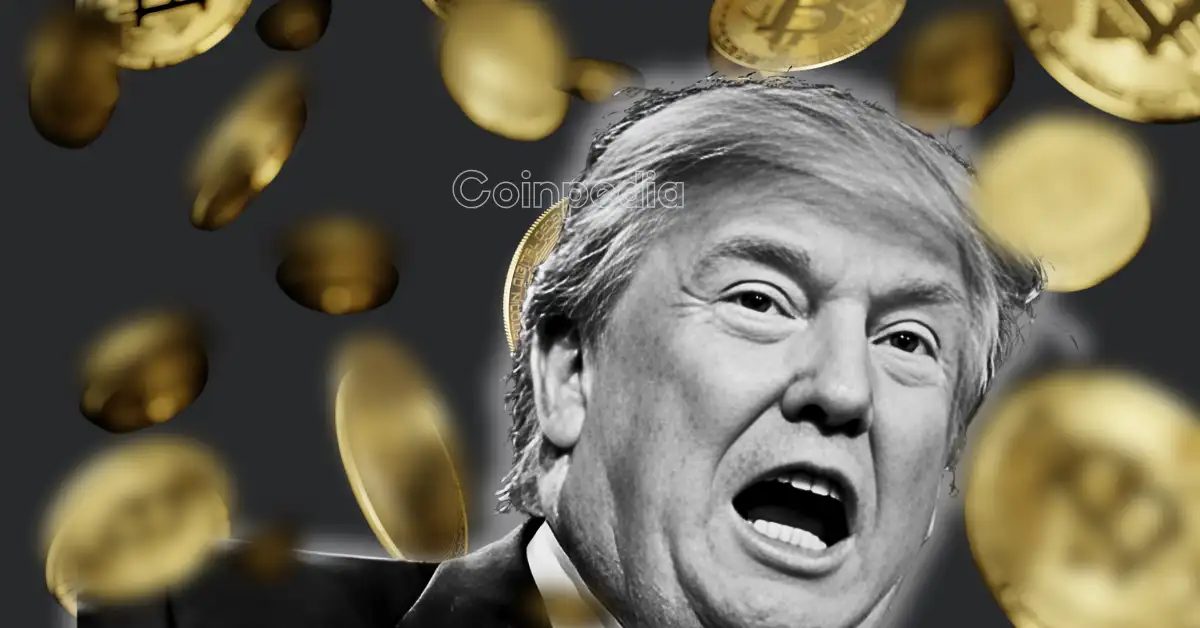 Trump Crypto Empire Earns $2.3 Billion While Merchants Face Heavy Losses
